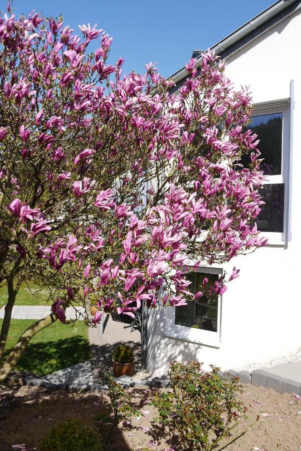 Ferienwohnung "Magnolia" Kordel ภายนอก รูปภาพ